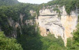 黃猄洞天坑國家森林公園 黃猄洞天坑國家森林公園