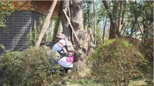 叢林狼真人CS基地 叢林狼真人CS基地