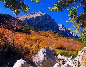 杜米托爾國家公園