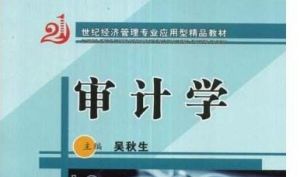 合法性審計 合法性審計