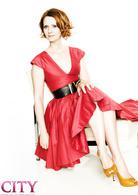 欲望都市[美國2008年麥可&middot;派屈克&middot;金導演電影]