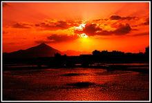 壺山輝映別樣紅