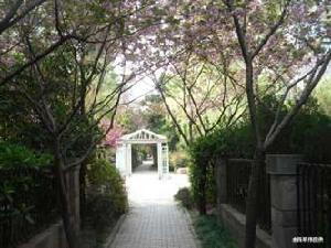 湯臣豪園二期 湯臣豪園二期