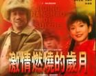 《激情燃燒的歲月》