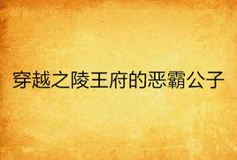 穿越之陵王府的惡霸公子 穿越之陵王府的惡霸公子