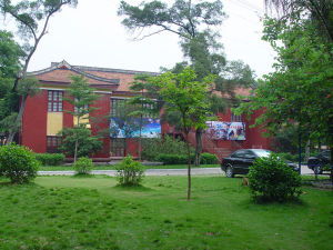 廣西壯族自治區自然博物館
