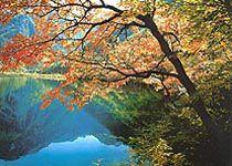 中國的世界自然遺產 中國的世界自然遺產