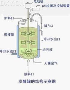 生物反應器