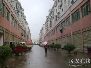 山水茗園 山水茗園