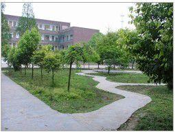 廣漢市西高中學 廣漢市西高中學