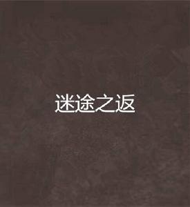 迷途之返