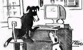 網際網路上,他們都知道你是條狗 網際網路上,他們都知道你是條狗