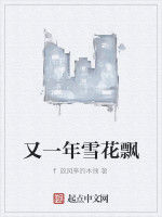 又一年雪花飄 又一年雪花飄
