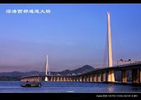 深港西部大橋
