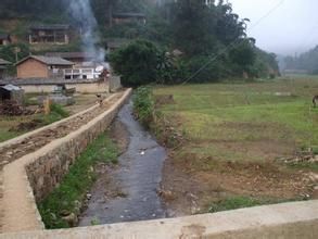 大魯店一隊村 大魯店一隊村