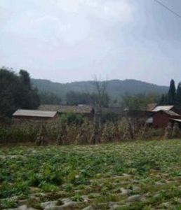 茶園自然村 茶園自然村