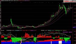 股票買賣教練員FX