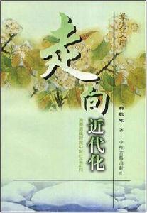 走向近代化 走向近代化