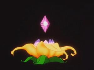 星宿種子 星宿種子