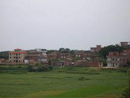 大福嶺村 大福嶺村