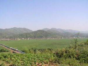 洪家自然村 洪家自然村