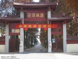 迎湖社區 迎湖社區