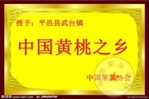 中國桃苗網 中國桃苗網