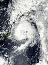颱風蒲公英 衛星雲圖