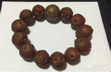 黃金鼠菩提把玩後