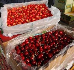 天價櫻桃 天價櫻桃