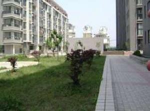 新大都廣場 新大都廣場