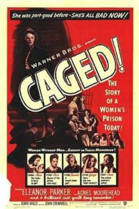 鐵窗紅淚 鐵窗紅淚