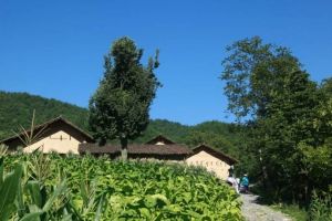 紅椿箐村 紅椿箐村