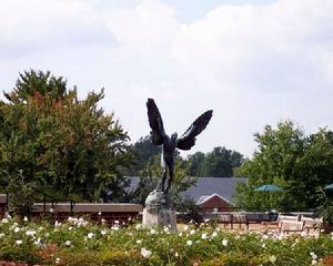 維吉尼亞大學飛行員雕像