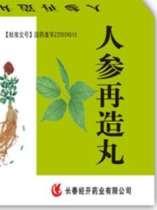 人參再造丸 人參再造丸