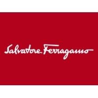 飛甩雞毛 飛甩雞毛