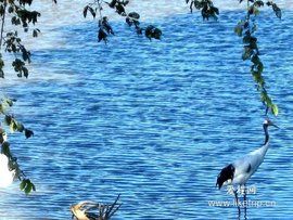 貴陽森林野生動物園 貴陽森林野生動物園