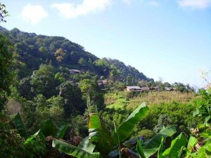 讓賽茶廠自然村 讓賽茶廠自然村