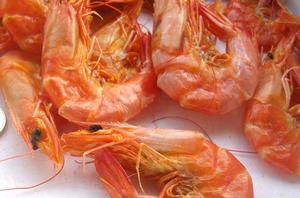 溫州對蝦乾 溫州對蝦乾