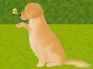 我的可愛寵物中文版 我的可愛寵物中文版