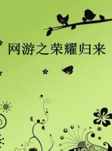 網遊之榮耀歸來 網遊之榮耀歸來