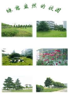 浙江省海寧市周王廟中學網站