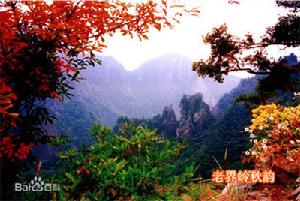 南陽西峽老界嶺景區自然風光