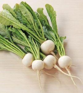 如皋蘿蔔 如皋蘿蔔