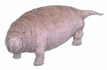 特提斯海的古生物