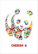 代表作---易碎系列