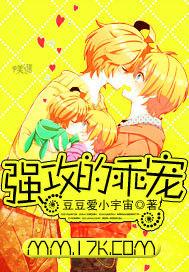 強攻的乖寵 強攻的乖寵