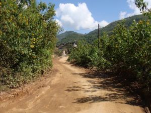 邦哈上寨村 邦哈上寨村