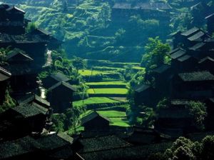 楓香革寨 楓香革寨