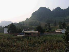 敦厚村[雲南省昭通鹽津縣牛寨鄉敦厚村]